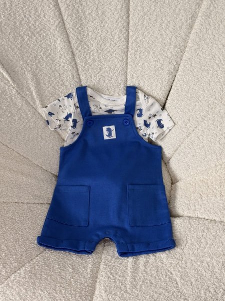 افرهول ولادي