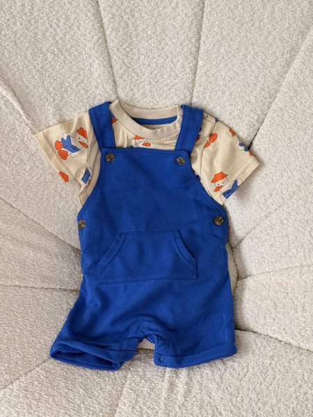 افرهول ولادي